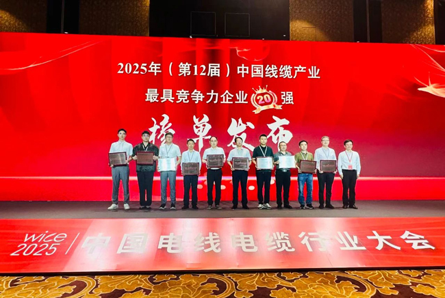 連續5年！VR彩票榮膺中國線纜行業20強、廣東線纜行業前3強